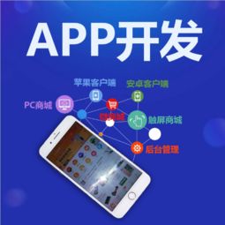 专业App开发如何实现效益快？软件开发公司的选择与策略