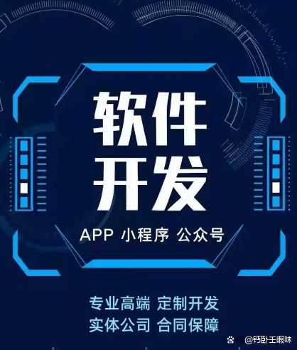 个性化功能需求，专业定制软件开发服务如何全面满足？